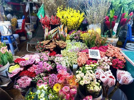 Chợ hoa Quảng Bá – Thức dậy trước bình minh để nhìn thấy một Hà Nội rất khác